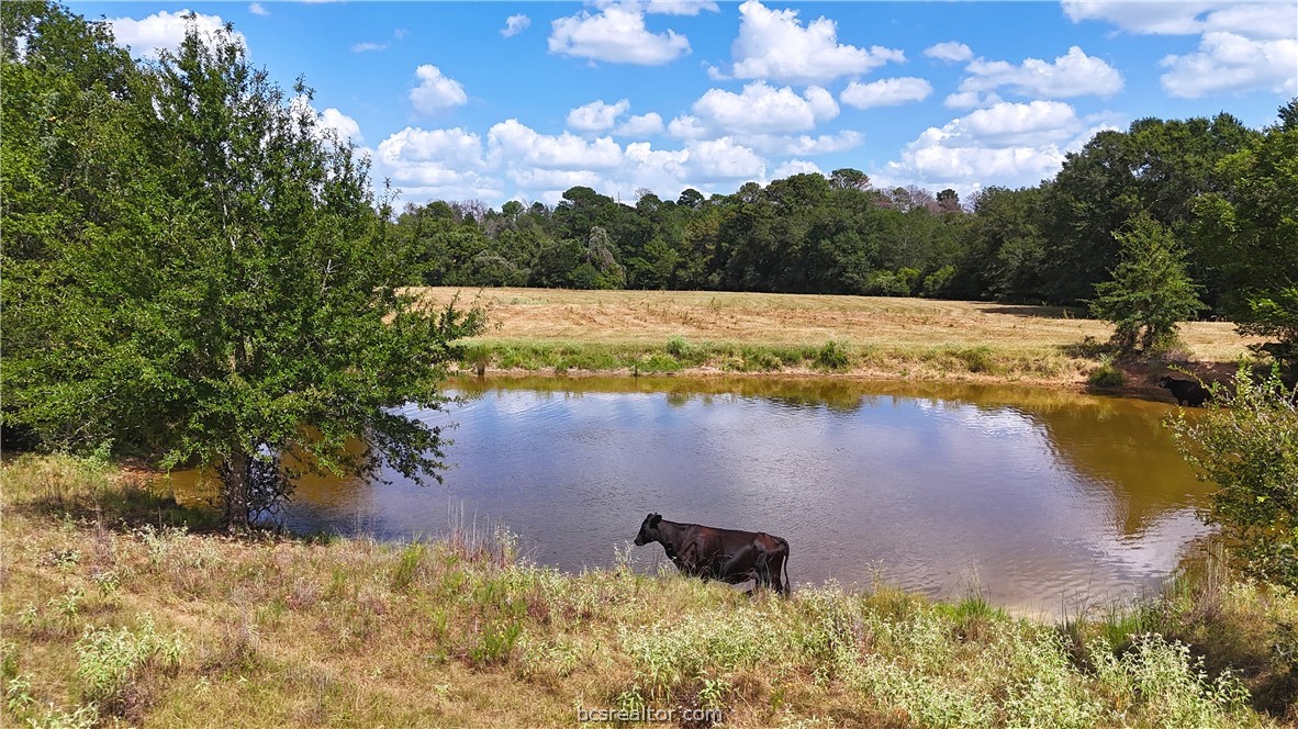 Tbd Saint Delight (tracts 8 & 13) Road Property Photo 9