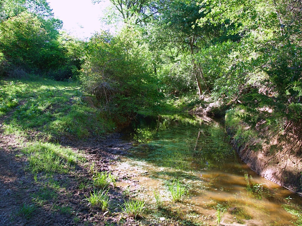 Tbd Saint Delight (tracts 8 & 13) Road Property Photo 10