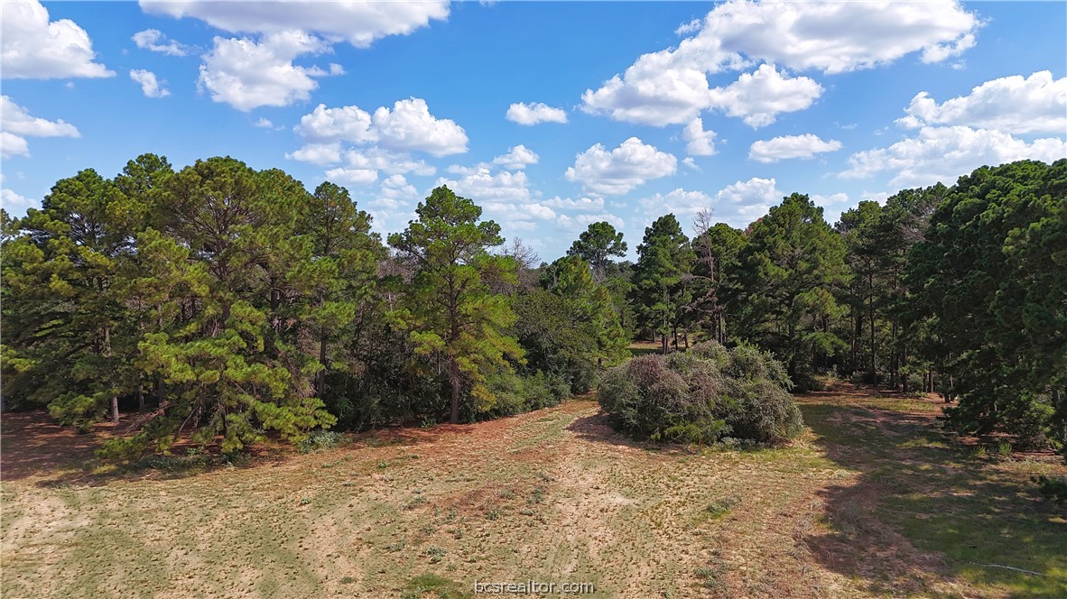 Tbd Saint Delight (tracts 8 & 13) Road Property Photo 14