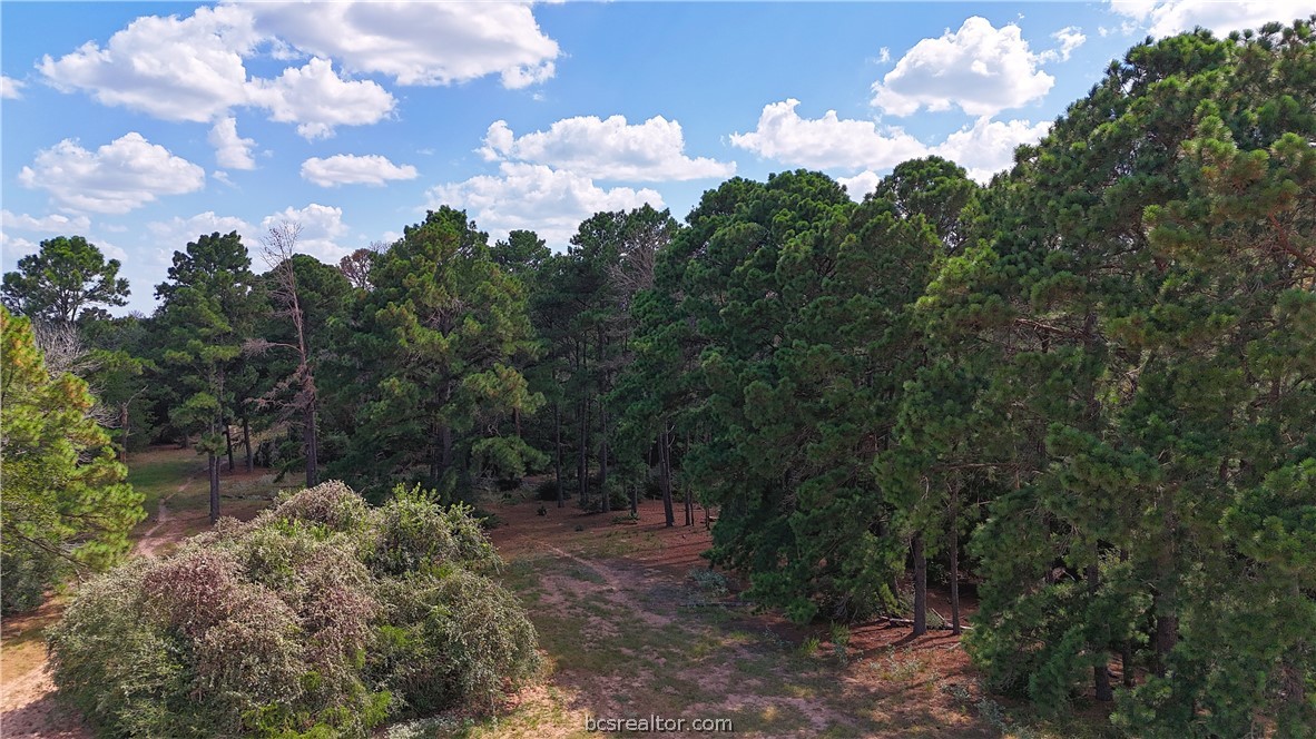 Tbd Saint Delight (tracts 8 & 13) Road Property Photo 15