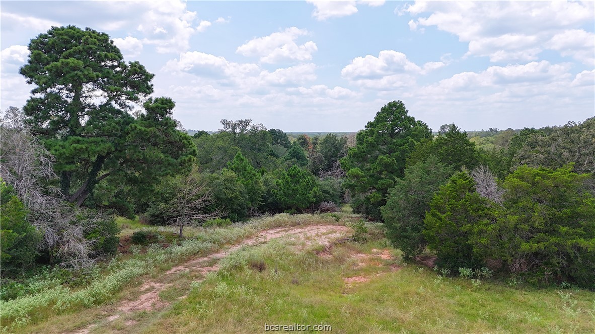 Tbd Saint Delight (tracts 8 & 13) Road Property Photo 16