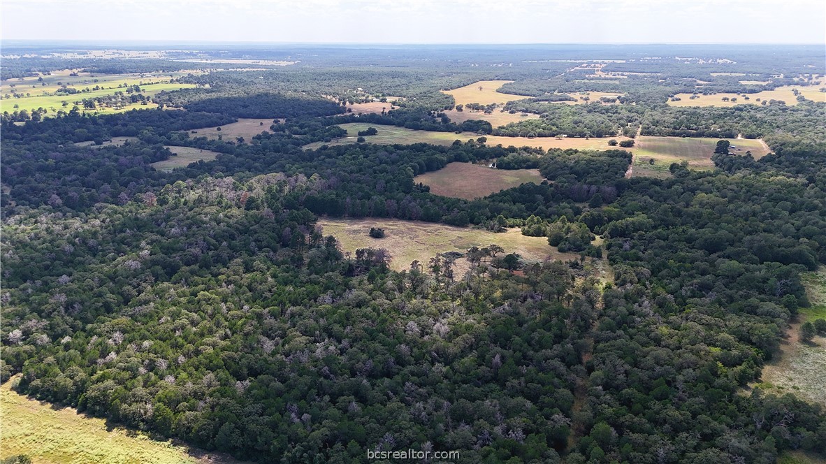 Tbd Saint Delight (tracts 8 & 13) Road Property Photo 20