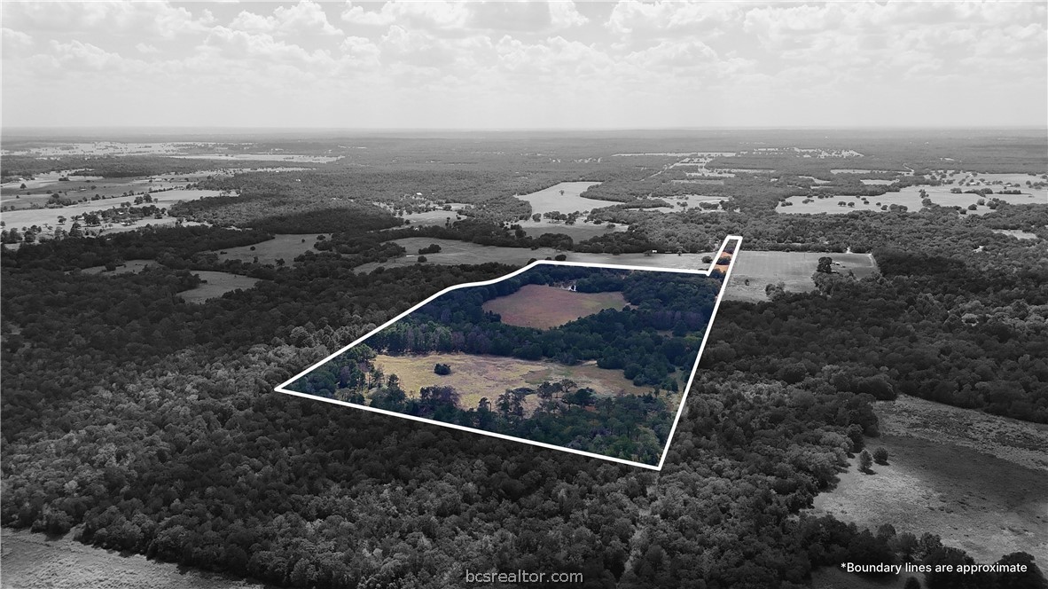 Tbd Saint Delight (tracts 8 & 13) Road Property Photo 22