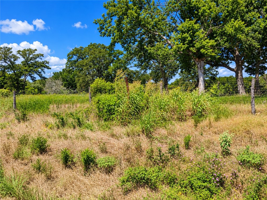 2.25 Acres Private Road 3001 Property Photo 3