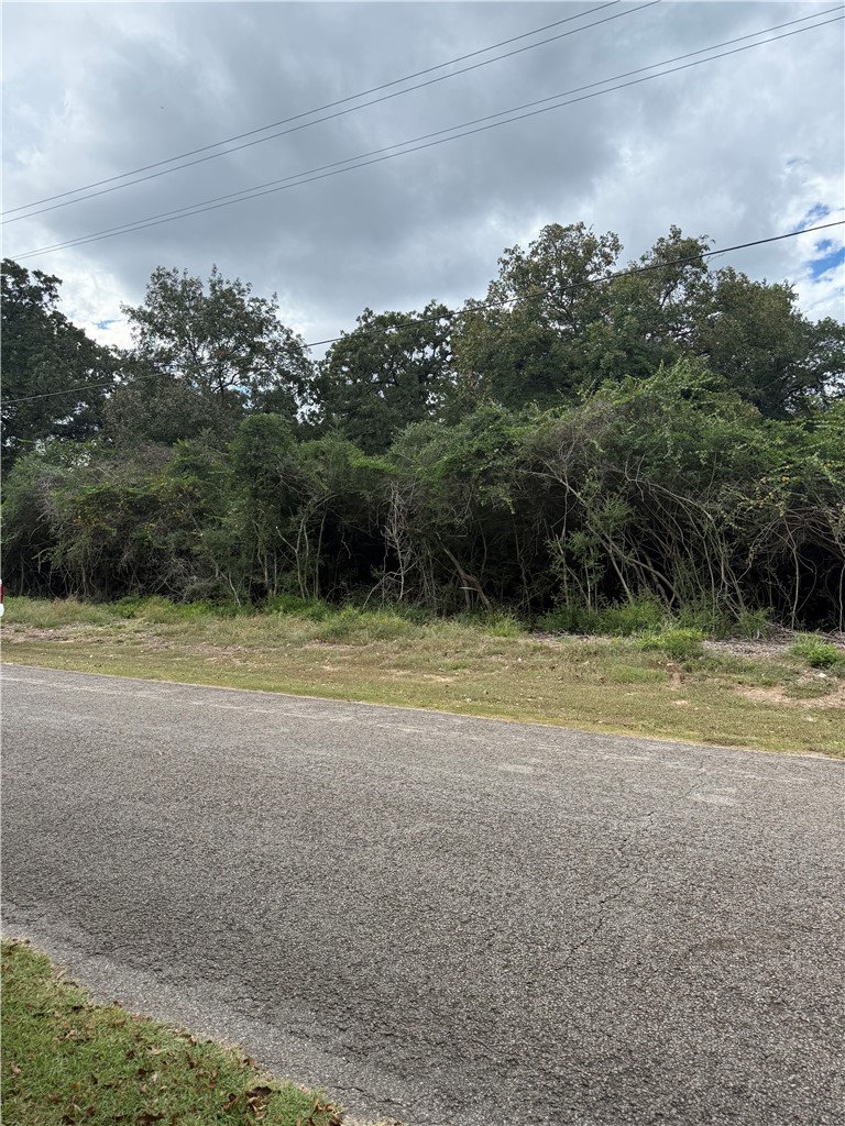 Tbd North Golfview Drive Property Photo 4