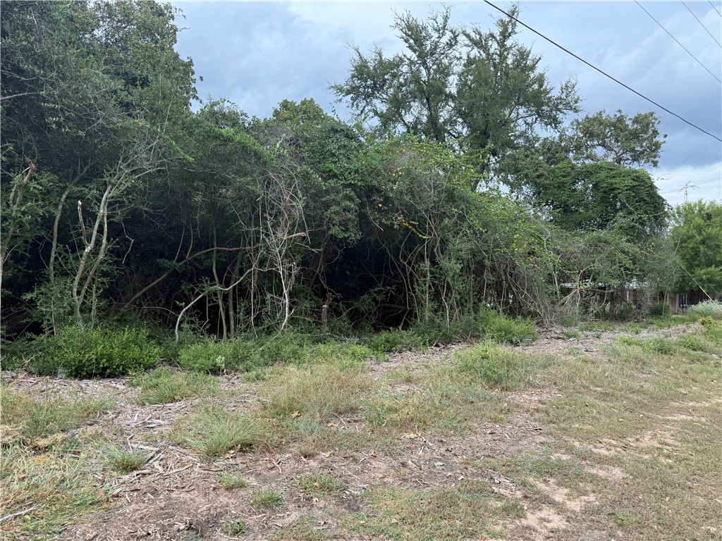 Tbd North Golfview Drive Property Photo 6