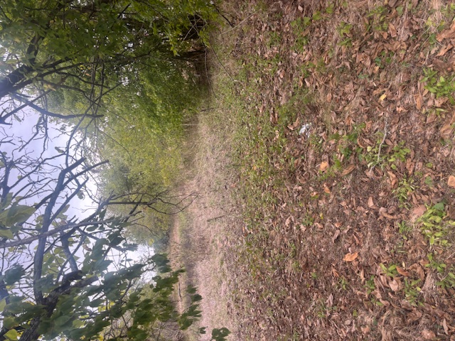 707 Mesquite Street Property Photo 1