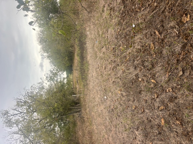 707 Mesquite Street Property Photo 4