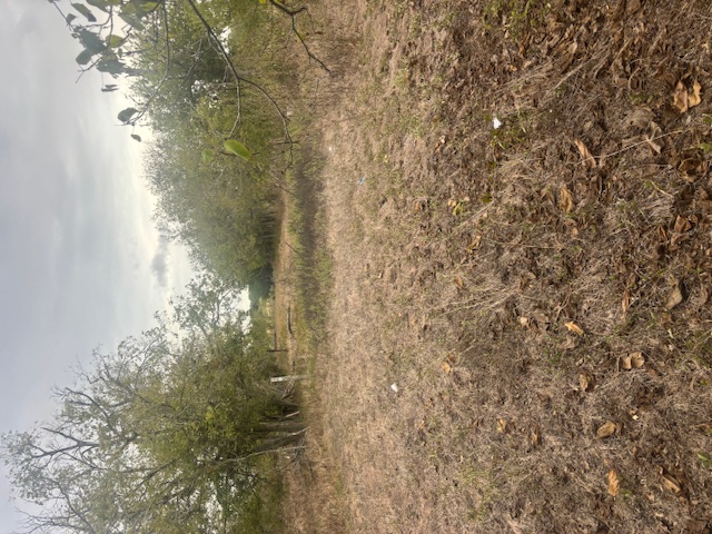 707 Mesquite Street Property Photo 5