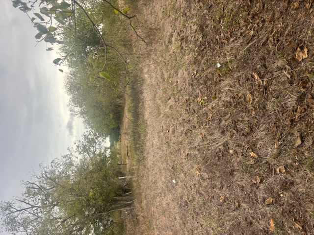 707 Mesquite Street Property Photo 6