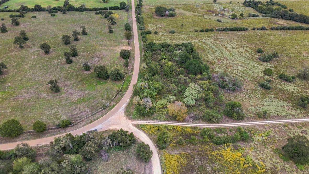 2.53 Acres County Road 119 Property Photo 5