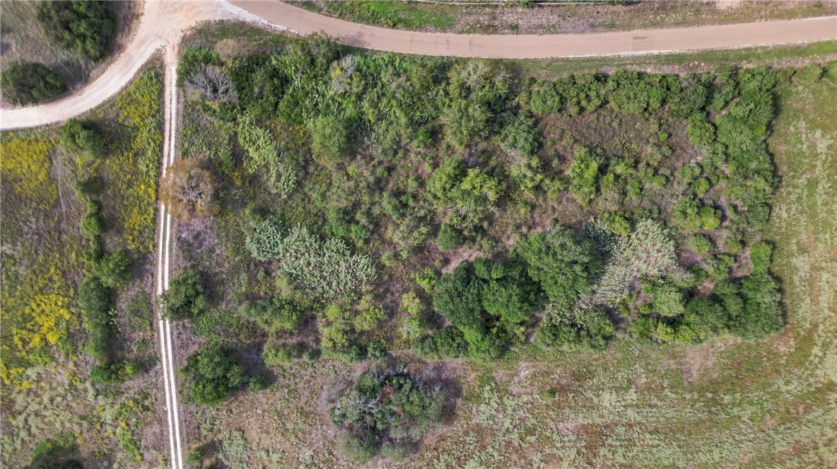2.53 Acres County Road 119 Property Photo 12