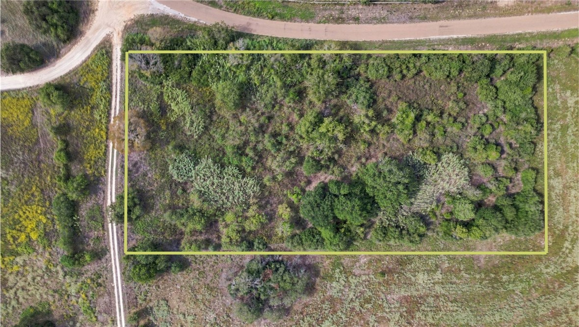 2.53 Acres County Road 119 Property Photo 13