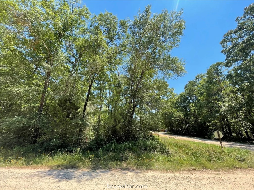 Lot 101 Ithica Property Photo 13