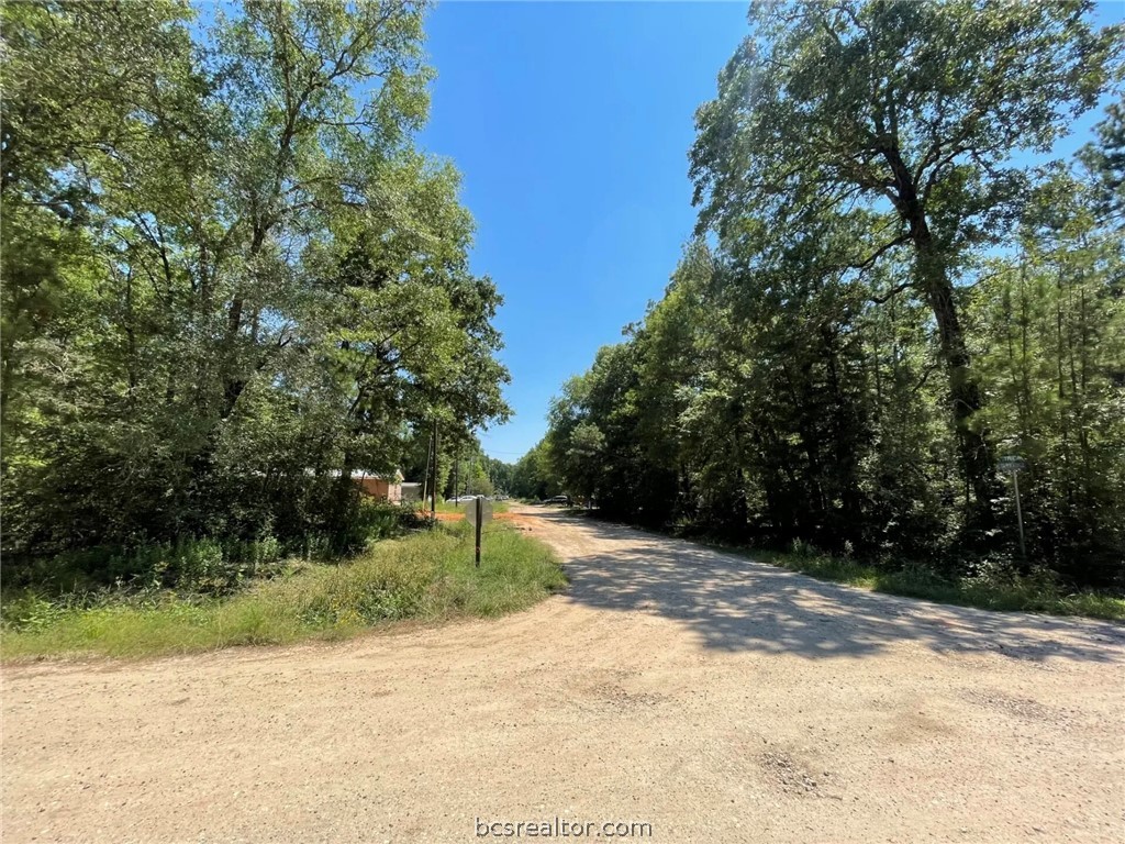 Lot 101 Ithica Property Photo 14