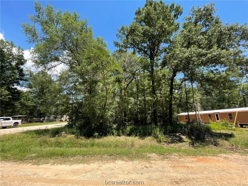 Lot 101 Ithica Property Photo 17