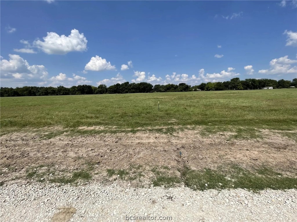 P2l18 Limestone County Road 463 Property Photo 19