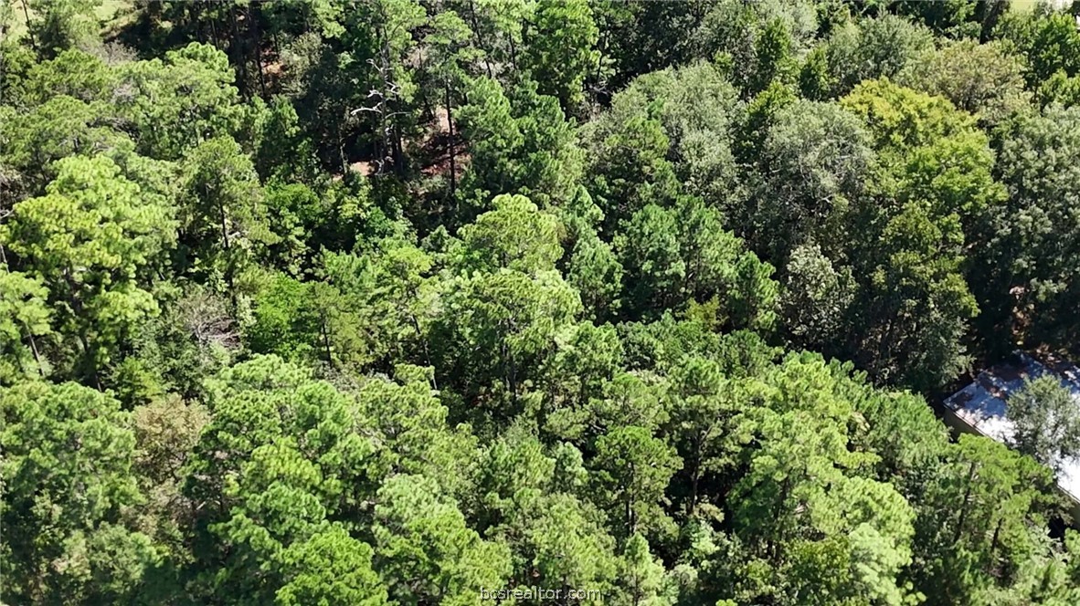 Lot 226 North Canyon Drive Property Photo 12