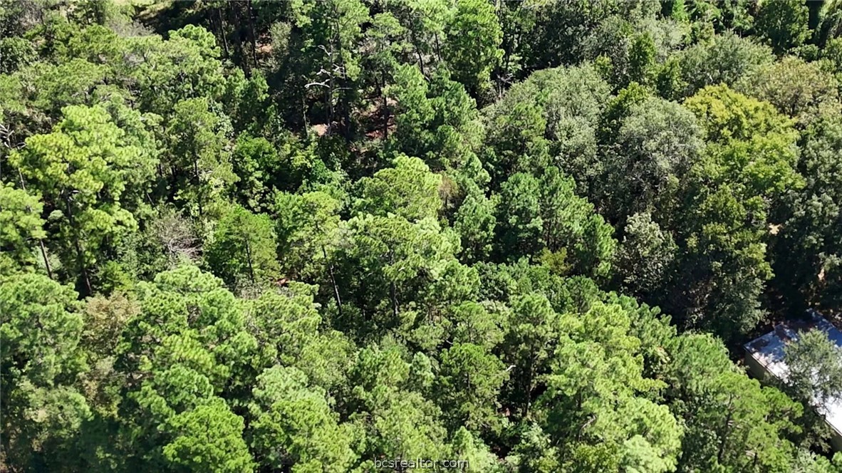 Lot 226 North Canyon Drive Property Photo 13