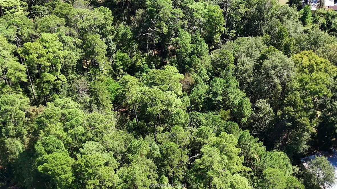 Lot 226 North Canyon Drive Property Photo 14