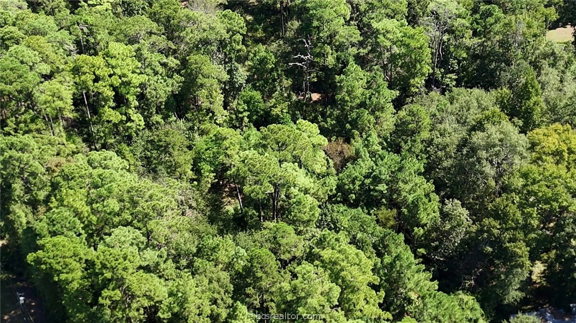Lot 226 North Canyon Drive Property Photo 15