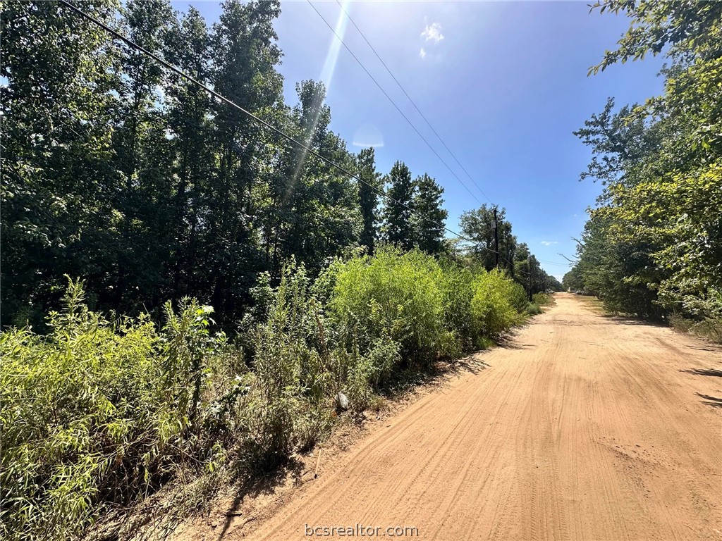 Lot 669 Dogwood Trail Property Photo 2