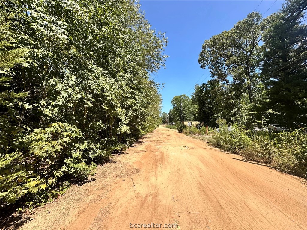 Lot 669 Dogwood Trail Property Photo 4