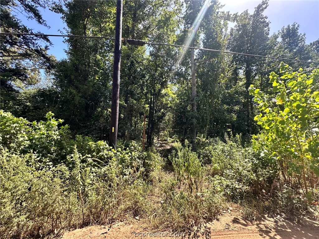 Lot 669 Dogwood Trail Property Photo 7