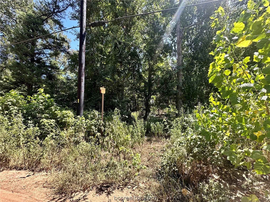 Lot 669 Dogwood Trail Property Photo 8