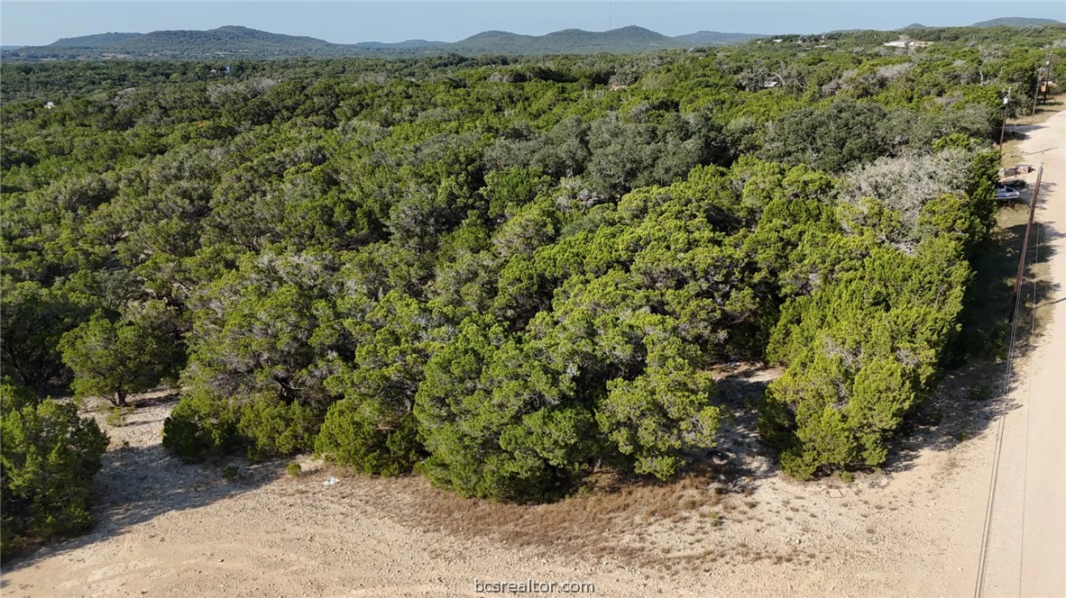 Lots 187-190 Atascosa Road Property Photo 15