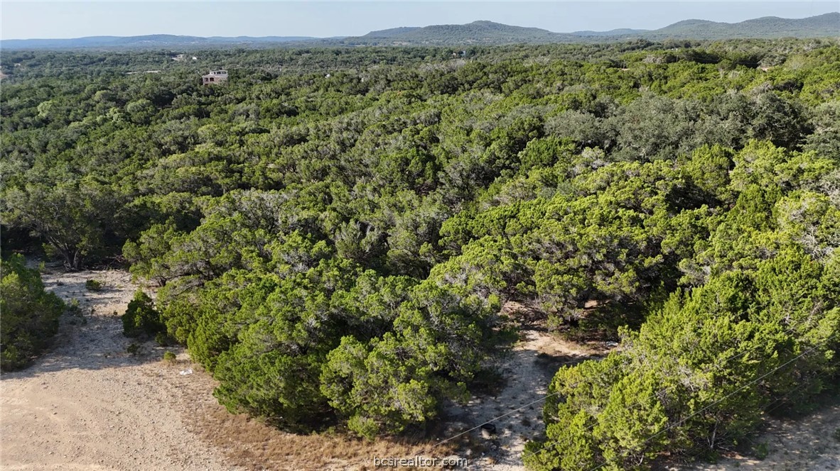 Lots 187-190 Atascosa Road Property Photo 16