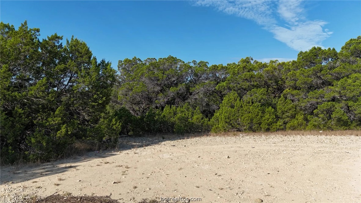 Lots 187-190 Atascosa Road Property Photo 22