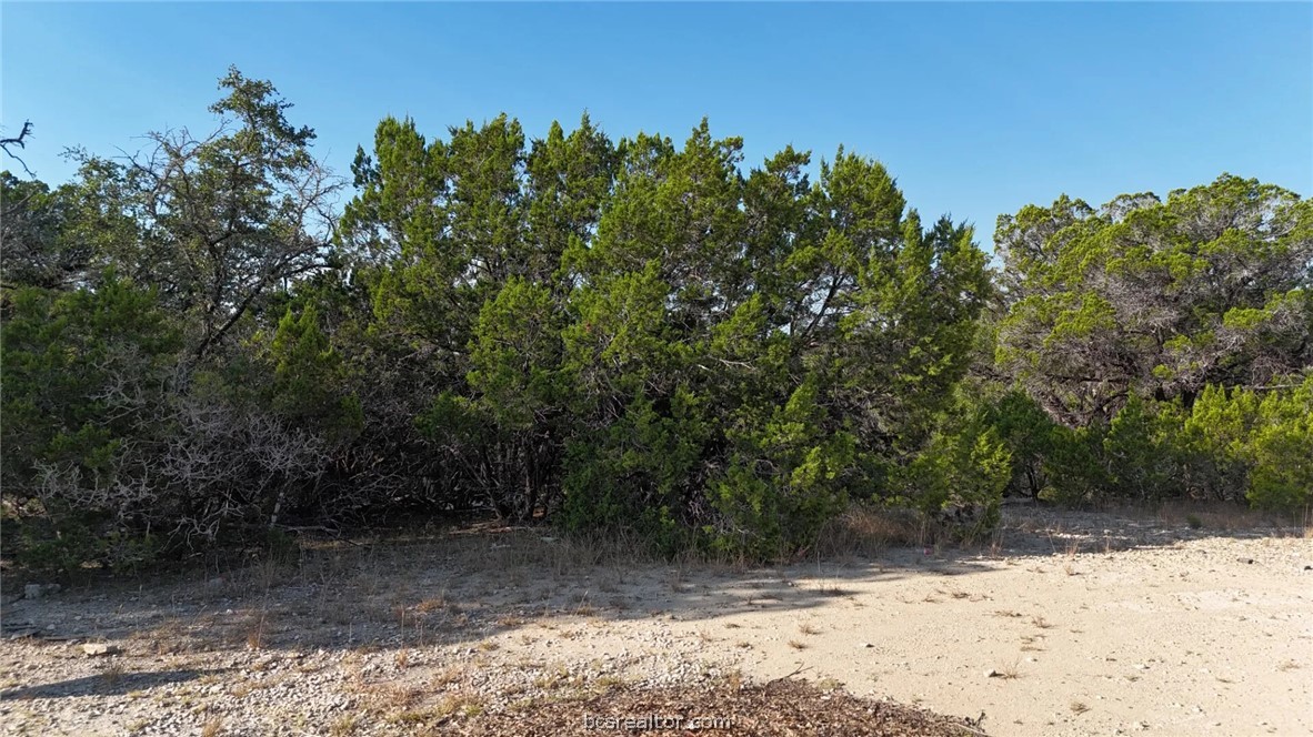 Lots 187-190 Atascosa Road Property Photo 23