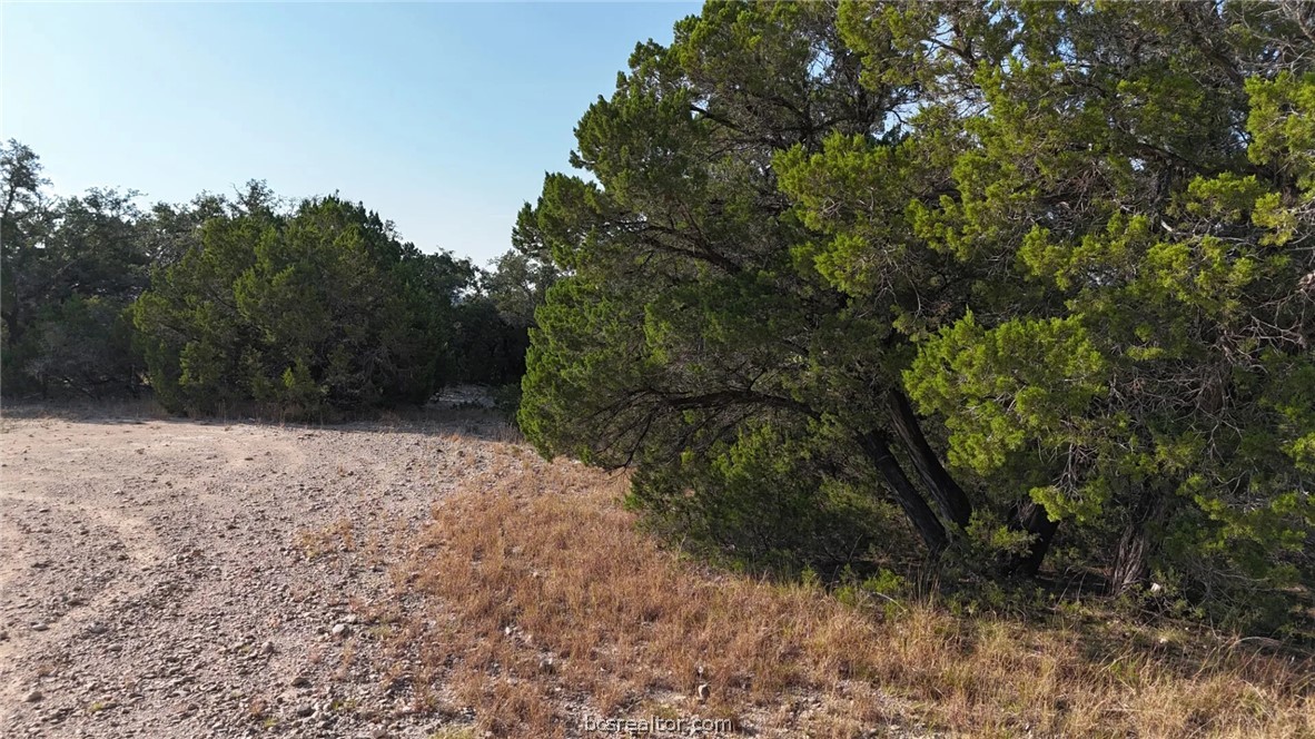 Lots 187-190 Atascosa Road Property Photo 24