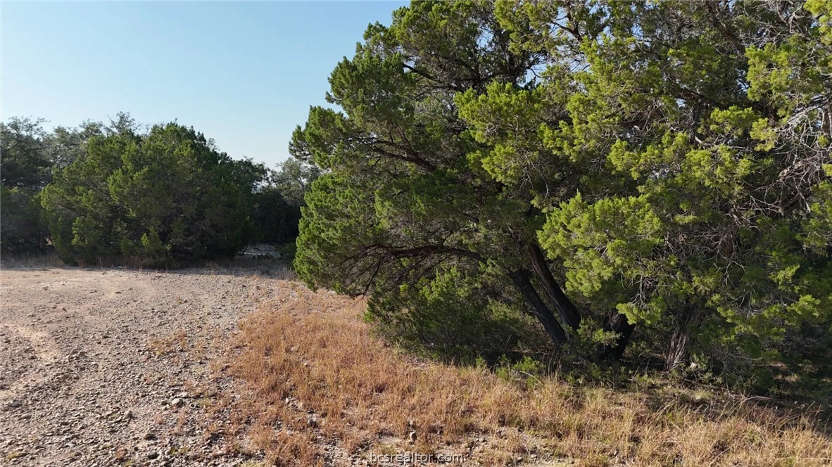 Lots 187-190 Atascosa Road Property Photo 25