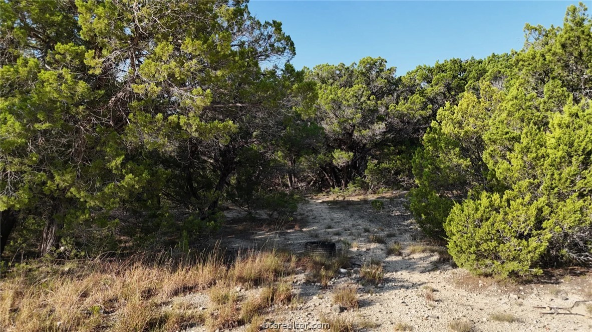 Lots 187-190 Atascosa Road Property Photo 26