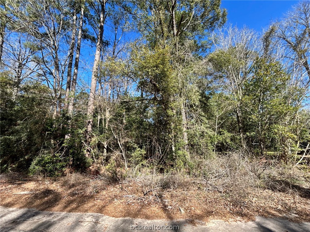 Lot 26 Buckingham Drive Property Photo 23