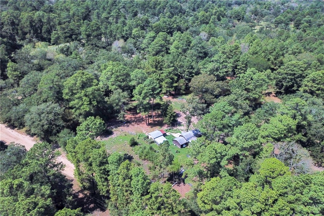 9175 Rocky Ridge Lane Property Photo 3