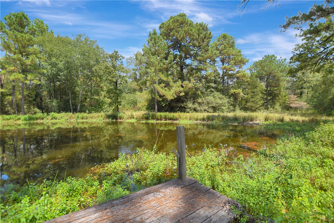 9175 Rocky Ridge Lane Property Photo 12