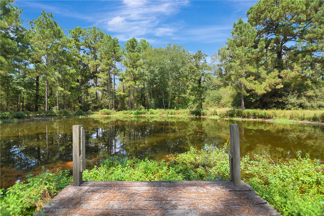 9175 Rocky Ridge Lane Property Photo 13