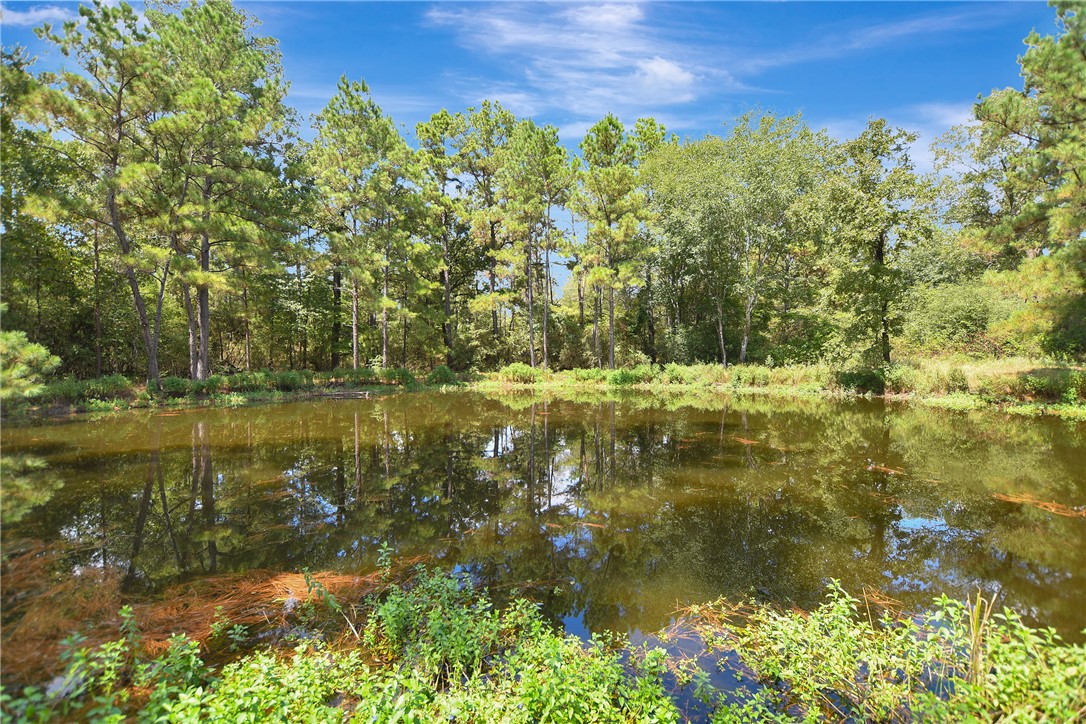 9175 Rocky Ridge Lane Property Photo 14