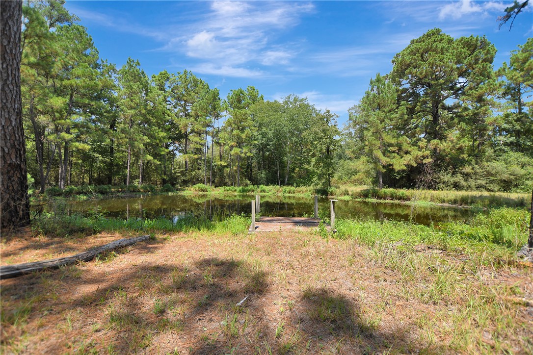 9175 Rocky Ridge Lane Property Photo 15