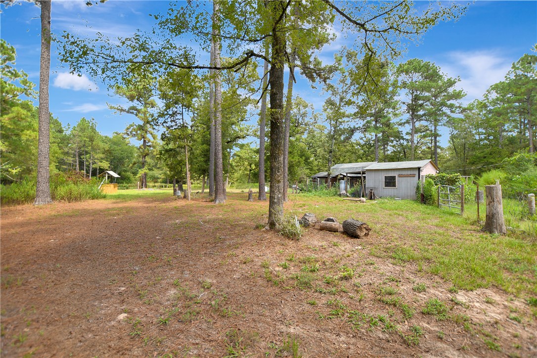 9175 Rocky Ridge Lane Property Photo 40