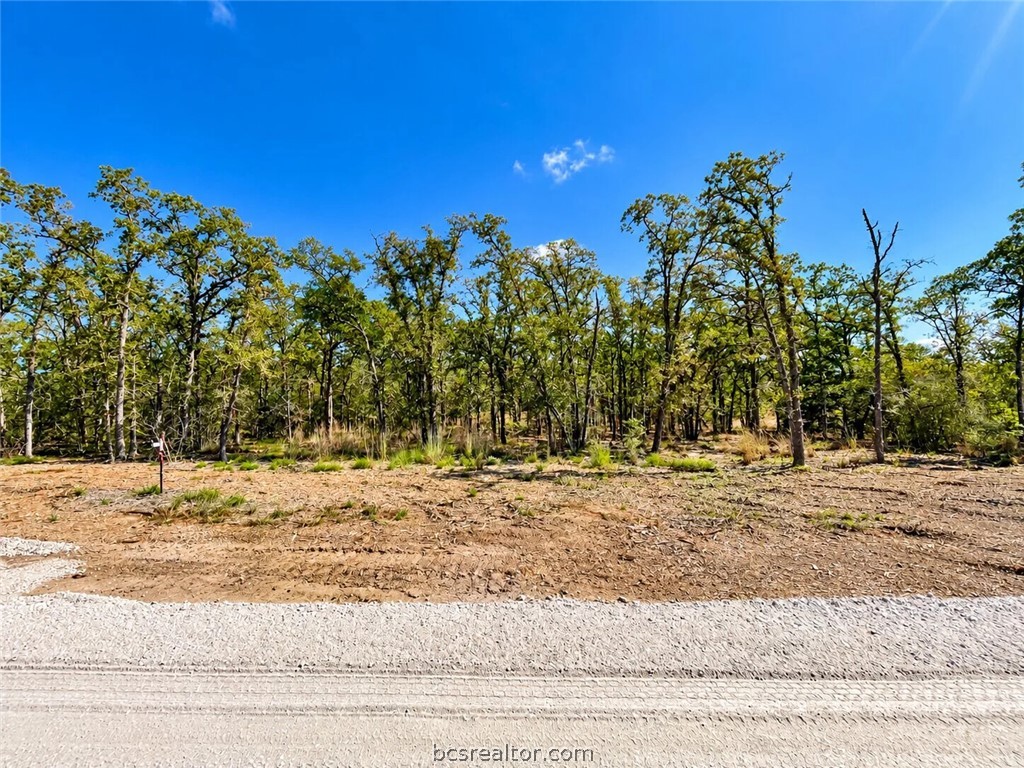 Lot 21-60 Meadow Street Property Photo 21