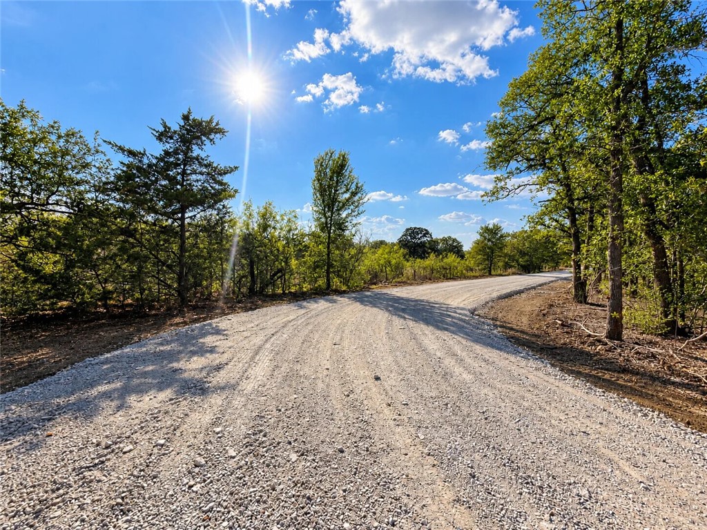 Lot 31-50 Meadow Street Property Photo 3