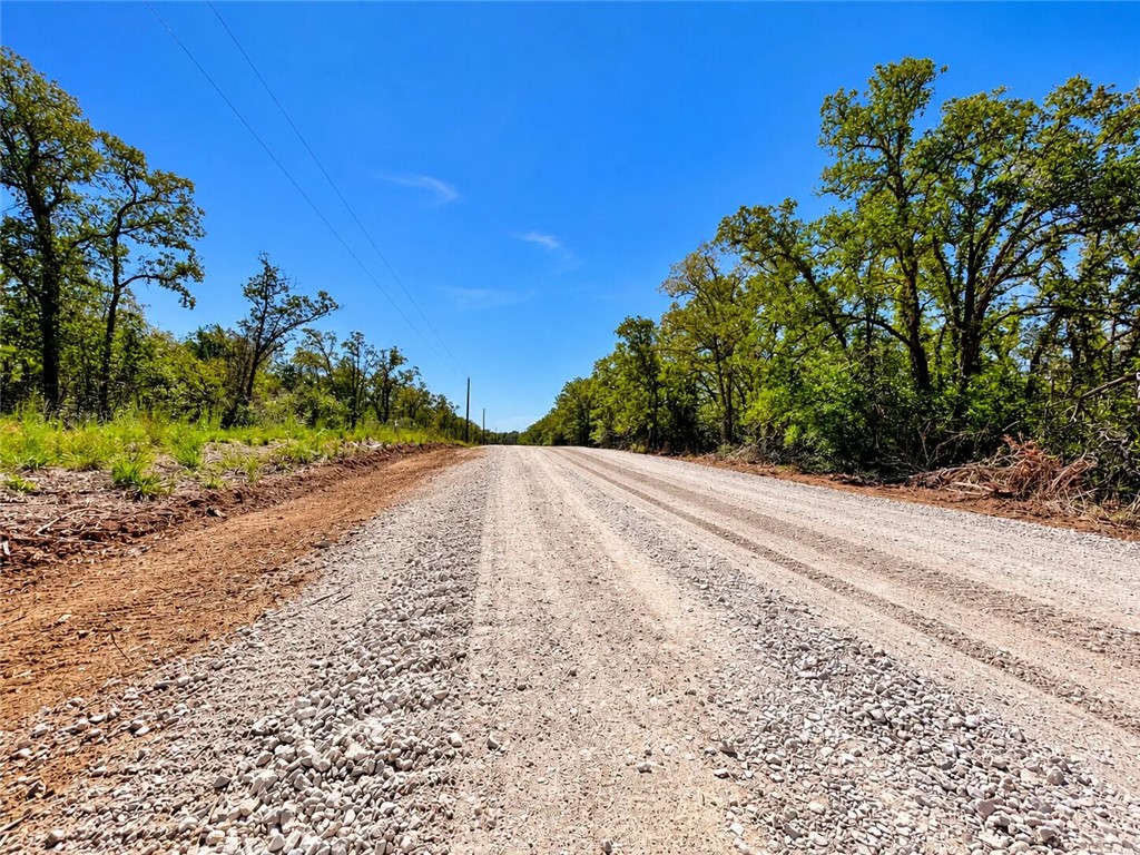 Lot 31-50 Meadow Street Property Photo 20