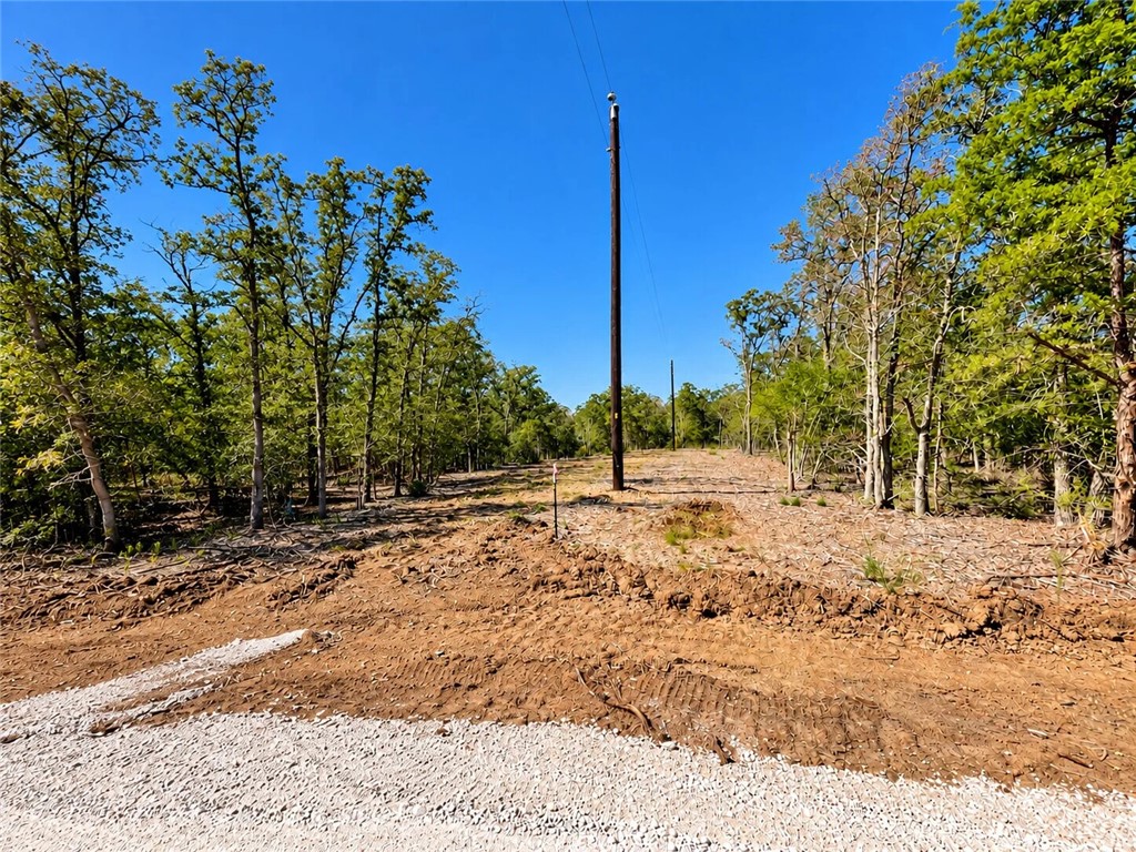 Lot 31-50 Meadow Street Property Photo 27