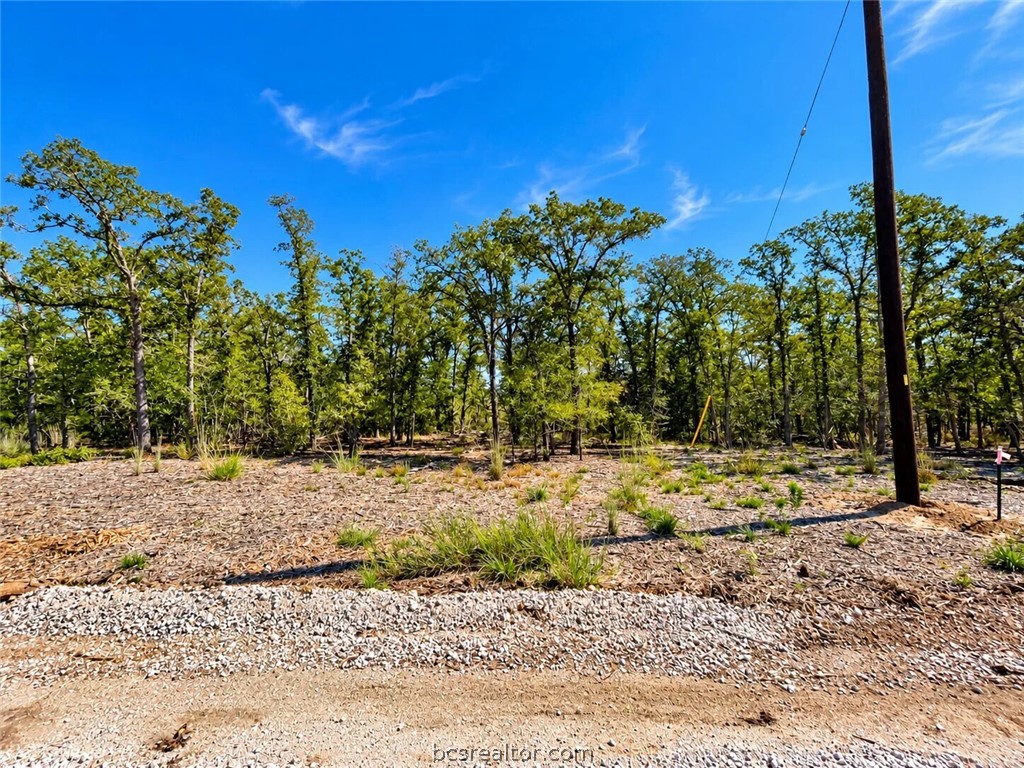Lot 54-55 Elm Trail Property Photo 29