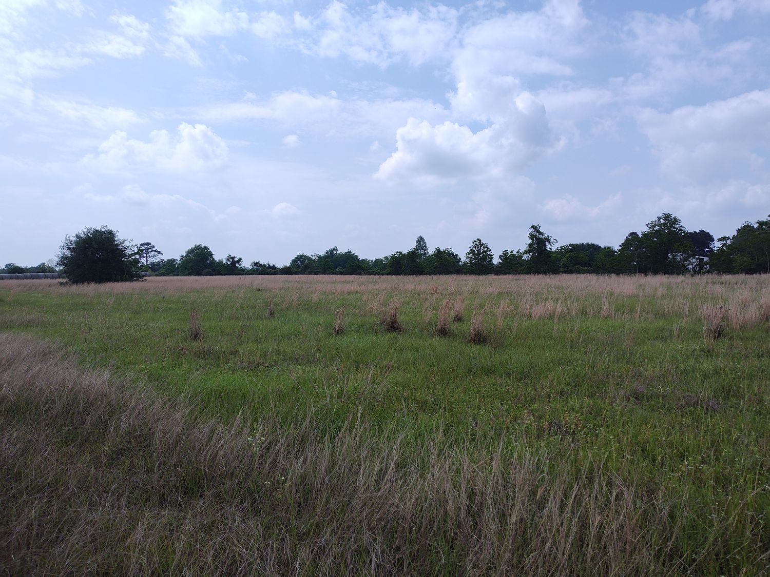 19709 Becker Rd Property Photo 5