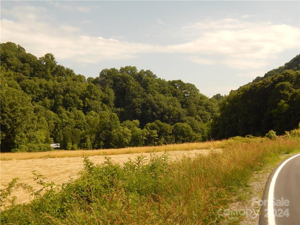 0 Nc 209 Highway Property Photo 2